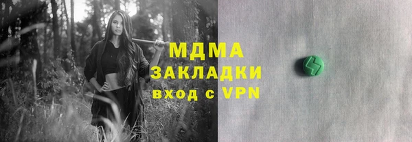 индика Володарск