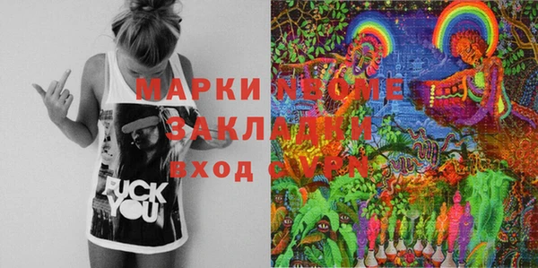 индика Володарск
