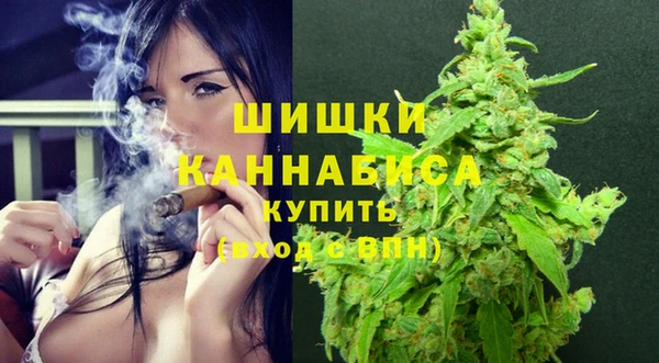 индика Володарск
