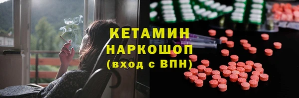 индика Володарск