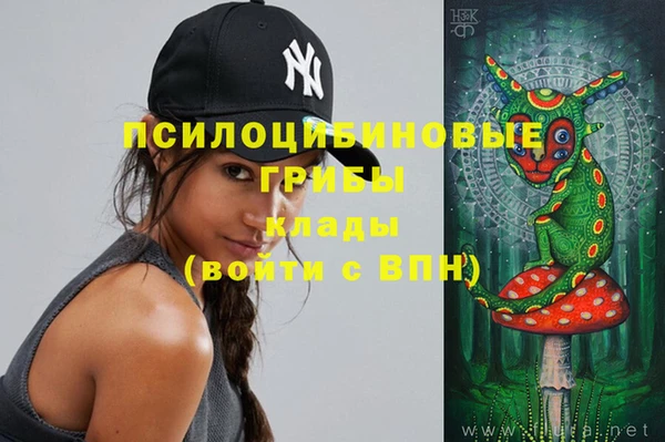 молекула духа Переславль-Залесский