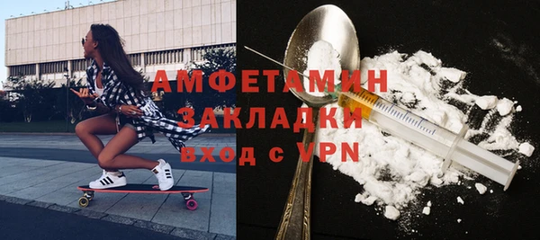 индика Володарск