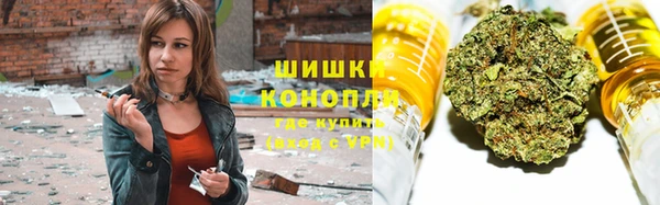 индика Володарск