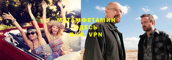 индика Володарск