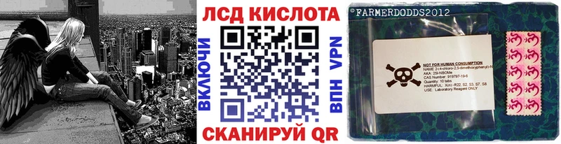 МЕГА как зайти  Каргополь  Марки N-bome 1,8мг 
