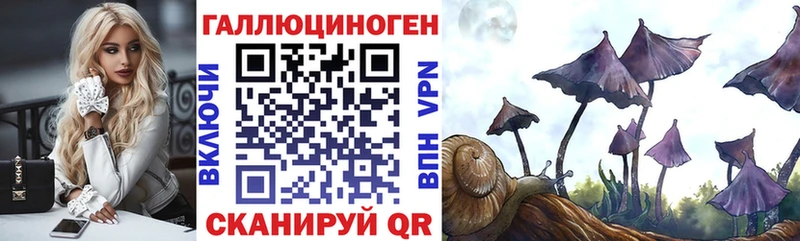 Псилоцибиновые грибы Psilocybine cubensis  Каргополь 